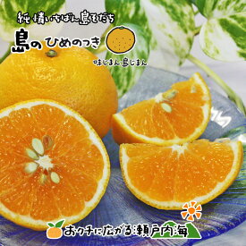 希望の島 ひめのつき(一覧) 贈答用/家庭用 2kg,5kg,10kg 愛媛 中島産 みかん 柑橘