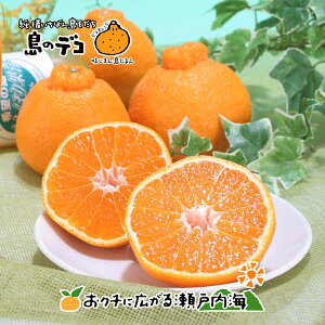 y󂠂z]̓ sm fR|Ɠi 6kg TCY Q Y