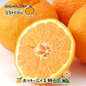 【糖度15度以上】希望の島 樹上完熟不知火(一覧) 特選品 大玉 6玉,2kg,約3kg,4kg,6kg,8kg 愛媛 中島産母の日 プレゼント ギフト贈答用 デコポンと同じ品種 ハウス栽培 みかん フルーツ 食べ物 おすすめ