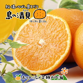 【訳あり】希望の島 清見オレンジ 5kg サイズ込 愛媛 中島産清見タンゴール