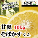 甘夏 無農薬 10kg サイズ込 愛媛 中島産 爽やかな香り！【希望の島 甘夏そばかすくん 10kg】 ランキングお取り寄せ