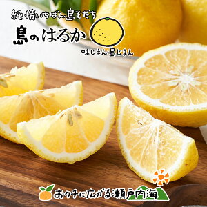 ��]�̓� �͂邩 10kg �����p ���� ���Q �����Y �݂��� ���k