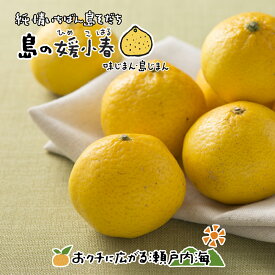 希望の島 媛小春(ひめこはる)(一覧) 贈答用/家庭用/訳あり品 1kg,2kg,3kg,5kg,10kg 愛媛 中島産 みかん 柑橘愛媛の新柑橘3兄弟(紅まどんな・甘平・媛小春)