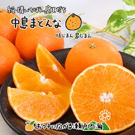 希望の島 中島まどんな(一覧) 贈答用/家庭用/訳あり品 1kg/6玉/2kg/3kg/4kg/5kg/10kg紅まどんなと同品種 …