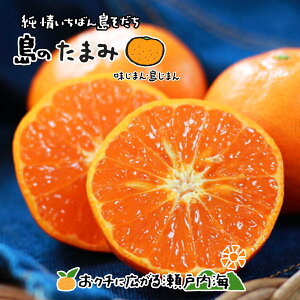 ]̓ ܂ 2kg p(ԏG)  Q Y ݂ k