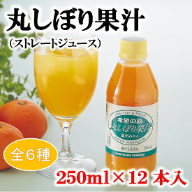 みかんジュース 250ml 12本入 愛媛 中島産【希望の島 丸しぼり果汁】 無添加 ストレートジュース 果汁100%お中元 お歳暮 愛媛百貨店