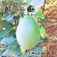 【訳あり】希望の島 国産アボカド 2kg 8〜12個 サイズ不揃い国産 愛媛 中島産 ベーコン フェルテ ピンカ…