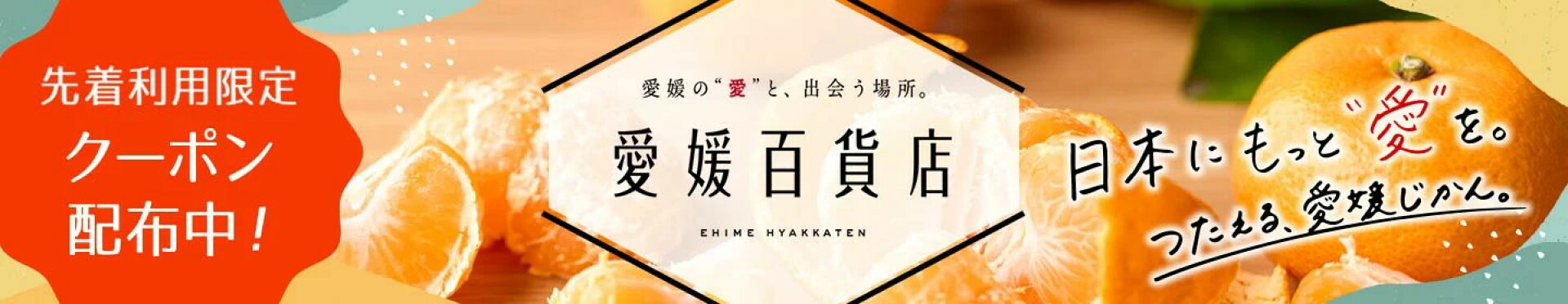 愛媛百貨店 第1弾