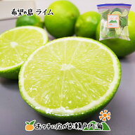 【皮まで食べられる】希望の島 国産ライム 500g 残留農薬ゼロ 冷凍ライム【希望の島 カットライム 国産 …