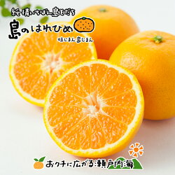 愛媛・中島産ブラッドオレンジ（タロッコ）