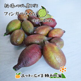希望の島 国産フィンガーライム 100g 家庭用 小玉 ノーワックス 防腐剤未使用 愛媛 中島産【キャビアライム フルーツキャビア ブッシュキャビア ブッシュライム】実 柑橘 果実 生食用 青果 生果