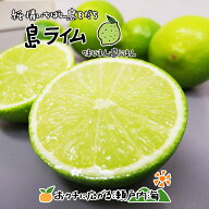 【皮まで食べられる】希望の島 国産ライム(一覧) 家庭用 サイズ込 1kg/2kg/3kg/5kg/10kg残留農薬ゼロ ノ…