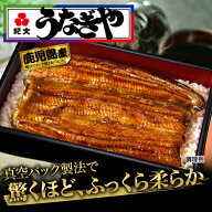 ＼クーポンで10%OFF／ 紀文公式 うなぎや 鹿児島産 4パック 送料無料　　　国産 うなぎ 蒲焼 土用の丑の…