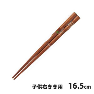CV_@O_x@͂@16.5cm@@qEEp