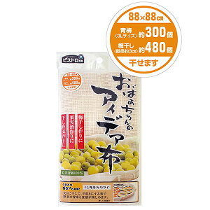 rXg搶 ΂̃ACfAz 88×88cm K52329  ~ ʎ@100 Tx