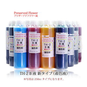 vU[uht[t TH-2 Bt V^Cv 250cc Ft ͂Ȃ  