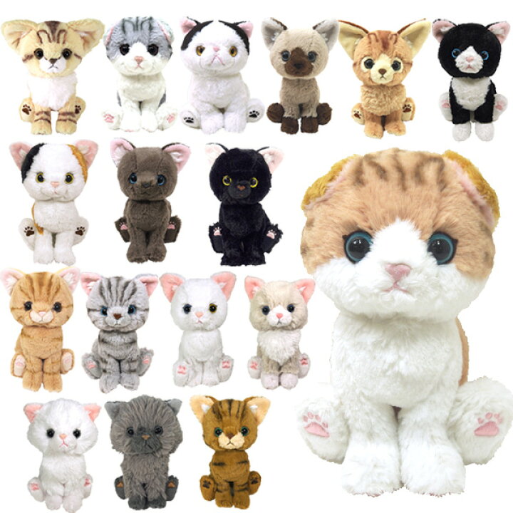 楽天市場 サンレモン Kitten キトン ぬいぐるみ 猫 ねこ Kichi Kiche
