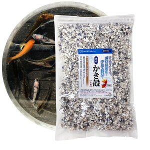 k 900g  Ϗ܋p  _Jp E_fܓ  Y JLk  EL _h~ yk JLK SMILE PET CLUB