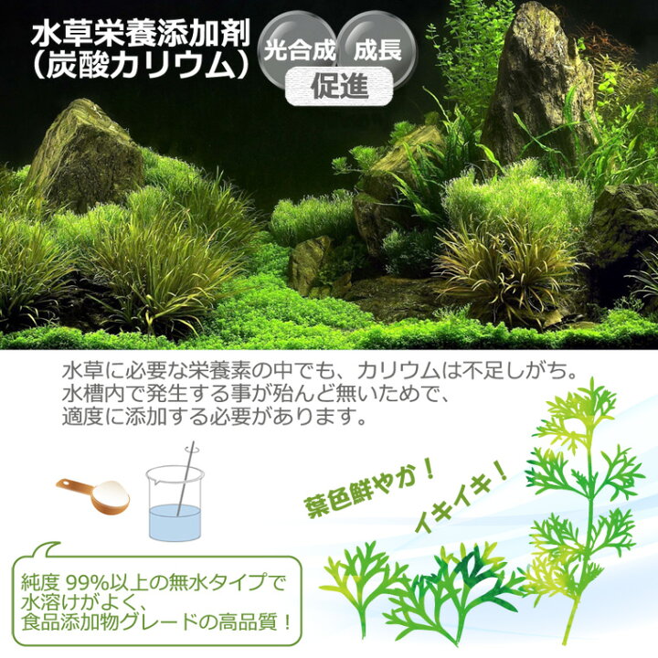 楽天市場 水草栄養添加剤 炭酸カリウム 900g 水質調整 光合成 成長促進 水槽液体栄養剤 水草用栄養剤 液肥料 食品添加物グレード Kichi Kiche