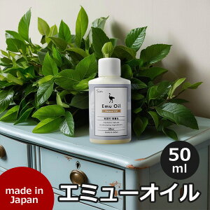 Y G~[IC 50ml 100% ێ  F XLPAIC eIC wAPA