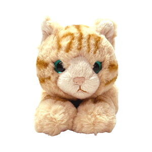 T Ђ˂ M ~P/IbhACWH/GY/BR/BK/ToV/`V/VAu[ ʂ  L lR