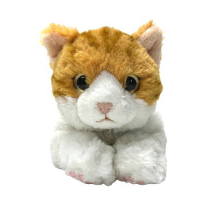 T Ђ˂ M ~P/IbhACWH/GY/BR/BK/ToV/`V/VAu[ ʂ  L lR