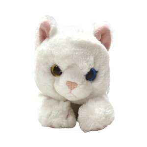 T Ђ˂ M ~P/IbhACWH/GY/BR/BK/ToV/`V/VAu[ ʂ  L lR