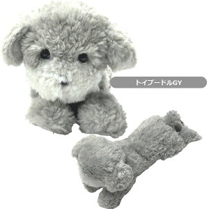 T Ђ STCY `/~j`A_bNX/gCv[h/Č/R[M[/pO/rVt[[/|jA ʂ