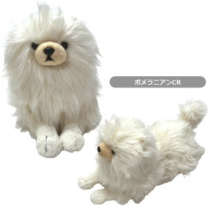 T Ђ STCY `/~j`A_bNX/gCv[h/Č/R[M[/pO/rVt[[/|jA ʂ