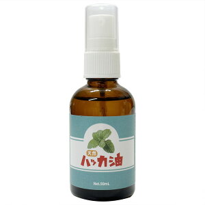 VRnbJ 50ml Xv[^Cv { nbJIC Ռr ނ Lv Co܂ybg gC L nbJC