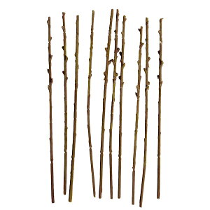 tFCNEbho[ 10{ 15cm 2mm ؂̎}  Ntgpp[c