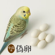 偽卵 6個入り 約20mm×13mm 小鳥 インコ 鳩 文鳥 すり替え 卵 擬卵