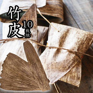 VR | V[g 10Zbg S52cm ɂ ܂Ȃǂ ٓ