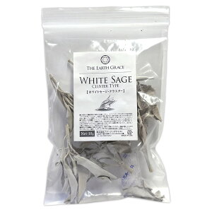 zCgZ[W }t (NX^[) 10g 򉻗p JtHjAY  X}bWO K ґz i _