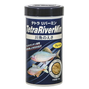 eg (Tetra) o[~ 65g 싛̎H (^iSAICJAtiAN`{\) GT