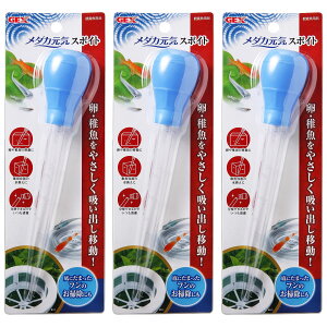 GEX _JC X|Cg Eẗړ  |p×3Zbg