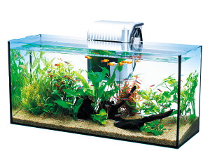 テトラ (Tetra) ガラス 水槽 オールグラスアクアリウム GA-600F 水槽 アクアリウム 熱帯魚 メダカ 金魚