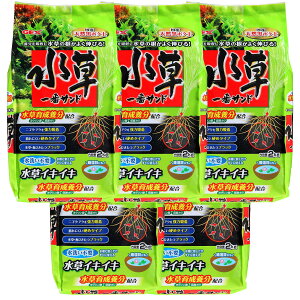 WFbNX GEX ԃTh VR h{z 􂢕sv 2kg×5Zbg