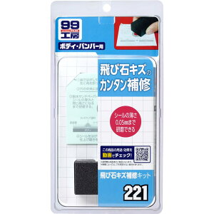 �\�t�g99(SOFT99) 99�H�[ ��C�p�i ��ѐ΃L�Y��C�L�b�g �����ԓh���ʂ̔�ѐ΃L�Y��C�p 09221