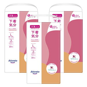 Aeg ^pc LTCY 66(22×3pbN)C GKgsNׁ[W [P[X̔]