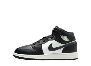 10/10y1000~N[|szNike iCL GS GAW[_1 ~bh ubN/T~bgzCg/Itm[ (LbY) iCL DQ8423-010 l LbYf fB[X Xj[J[ 