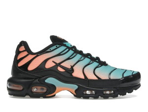 ���ʌ���y1000�~�N�[�|���z���s�INike Nike Air Max Plus South Beach �i�C�L DM0032-022 �����Y �X�j�[�J�[ �����j���O�V���[�Y 19SX-20260508125615-709