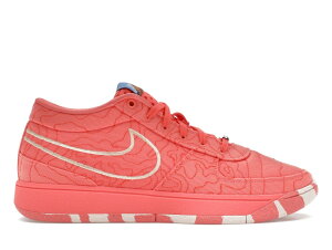 �y���Ȃ犄���N�[�|�����s���zNike Nike Book 1 Sedona �i�C�L IB8054-800/IB8053-800 �����Y �X�j�[�J�[ �����j���O�V���[�Y 19SX-20260508125615-747