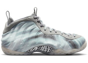 11/15y1000~N[|zNike Air Foamposite One Dream A World Grey iCL GA tH[|Wbg  DM0115-001 Y Xj[J[ jOV[Y 19SX-20230306120420-002