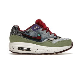 【今なら割引クーポン発行中】Nike コンセプツ × PS エアマックス1 ""メロウ"" Air Max 1 SP ""Concepts Mellow (PS)"" ナイキ コンセプツ × ナイキ PS エアマックス1 DR2362-300 メンズ スニーカー ランニングシューズ 19SX-20220922223052-016