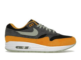 【今なら割引クーポン発行中】Nike Nike Air Max 1 PRM Duck Honey Dew ナイキ DZ0482-001 メンズ スニーカー ランニングシューズ 19SX-20230909221006-359