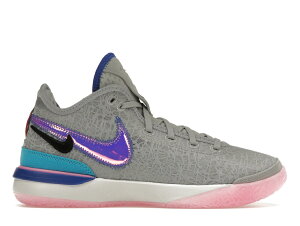 yZ[z1000~N[|s!!Nike Nike Zoom LeBron NXXT Gen Wolf Grey iCL DR8784-002/DR8788-002 Y Xj[J[ jOV[Y 19SX-20230909221006-603