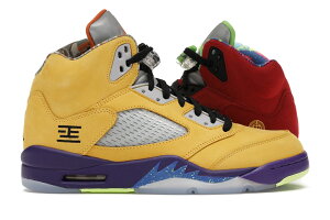 y1000~N[|szJordan iCL GAW[_5 gbgEUg Jordan 5 Retro gWhat Theg Jordan CZ5725-700 Y Xj[J[ jOV[Y 19SX-20230911233535-203
