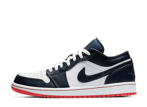 Ԍy1000~N[|zNike iCL GAW[_1 [ IuVfBA/Go[O[ iCL 553558-481 Y Xj[J[ jOV[Y 21SN-553558-481