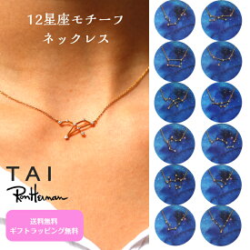 TAI JEWELRY 12星座モチーフネックレス キュービックジルコニア おひつじ おうし ふたご かに しし おとめ てんびん さそり いて やぎ みずがめ うお 可愛い かわいい おしゃれ タイジュエリー ロンハーマン TN-111 バレンタイン プレゼント 贈り物 クリスマス